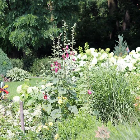 아파트 Gutshof Marienthal Viereck