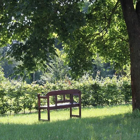 Gutshof Marienthal Viereck