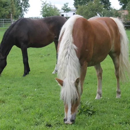 Gutshof Marienthal 아파트 Viereck