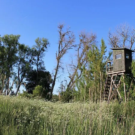 Daire Gutshof Marienthal