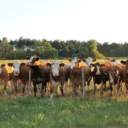 Daire Gutshof Marienthal