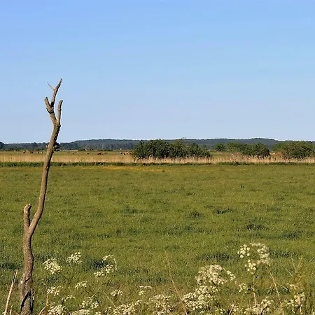 Gutshof Marienthal 아파트