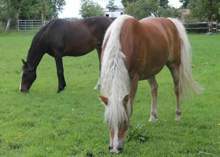 Gutshof Marienthal Apartment Viereck