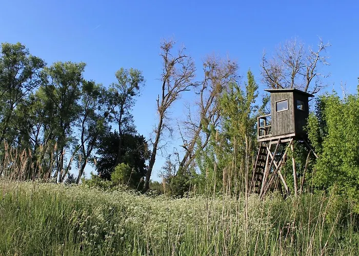 Apartment Gutshof Marienthal