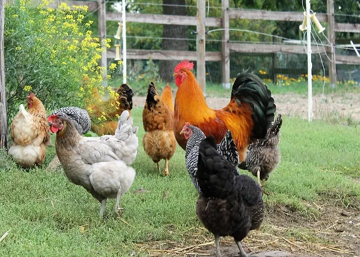 Apartment Gutshof Marienthal *