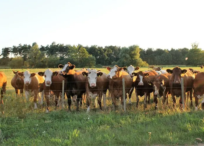 Apartment Gutshof Marienthal