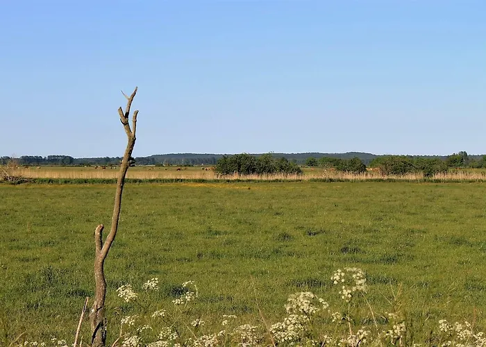 Gutshof Marienthal Apartment